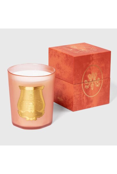 Tuileries - Trudon Great - 3kg - 300 hours +