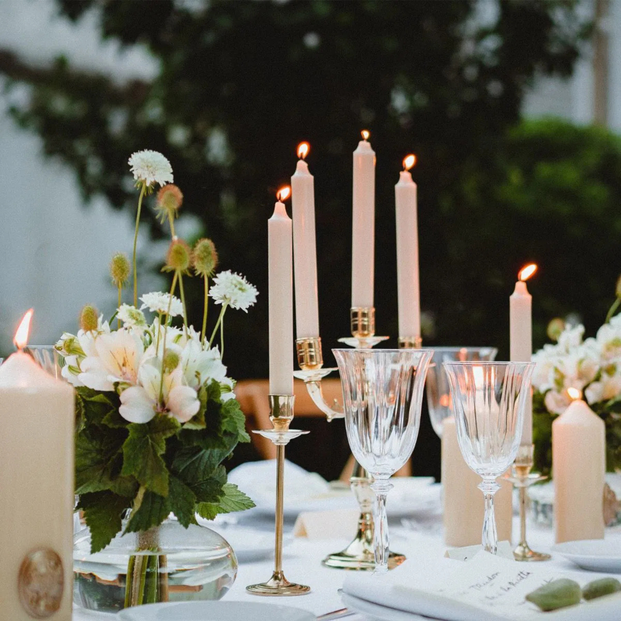 Trudon Madeleine Taper Candles - Boxed set of 6 - White-3