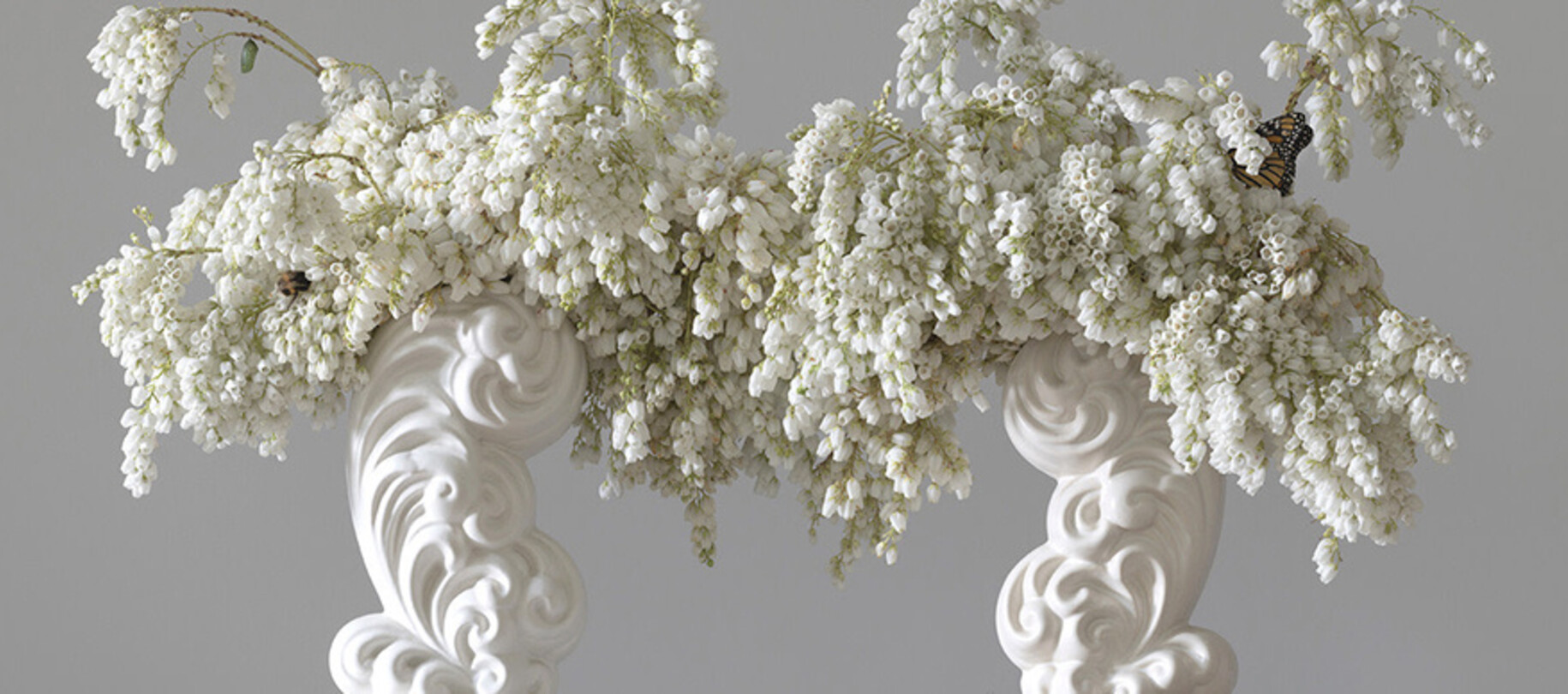 Images Available By Order