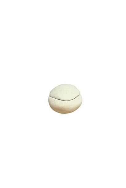 Linda Bretherton - Fred + Wilma Salt and Pepper Box #3, 2025 - Stoneware with white interior glaze and liquid quartz seal - 6x8x8cm