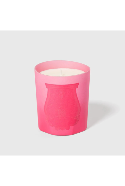 Summer Haze - Trudon - 270g - 55-60 hours