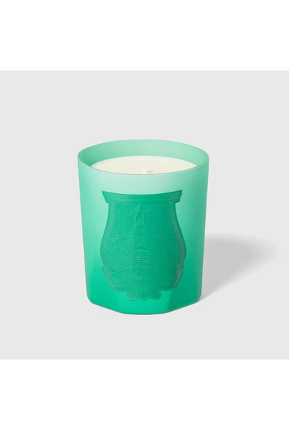 Under the Trees - Trudon - 270g - 55-60 hours