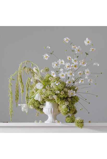 Emma Bass - Unspoken Garden