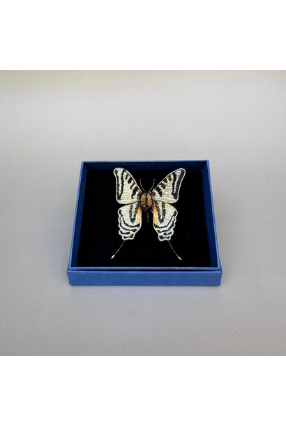 Trovelore - Scarce Swallowtail Embellished Brooch - Handmade in India in Small Batches by Artisan