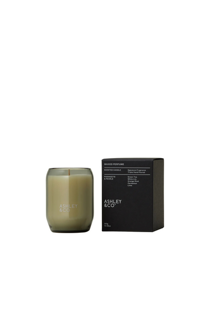 Ashley & Co - Waxed Perfumed Candle - Parakeets & Pearls