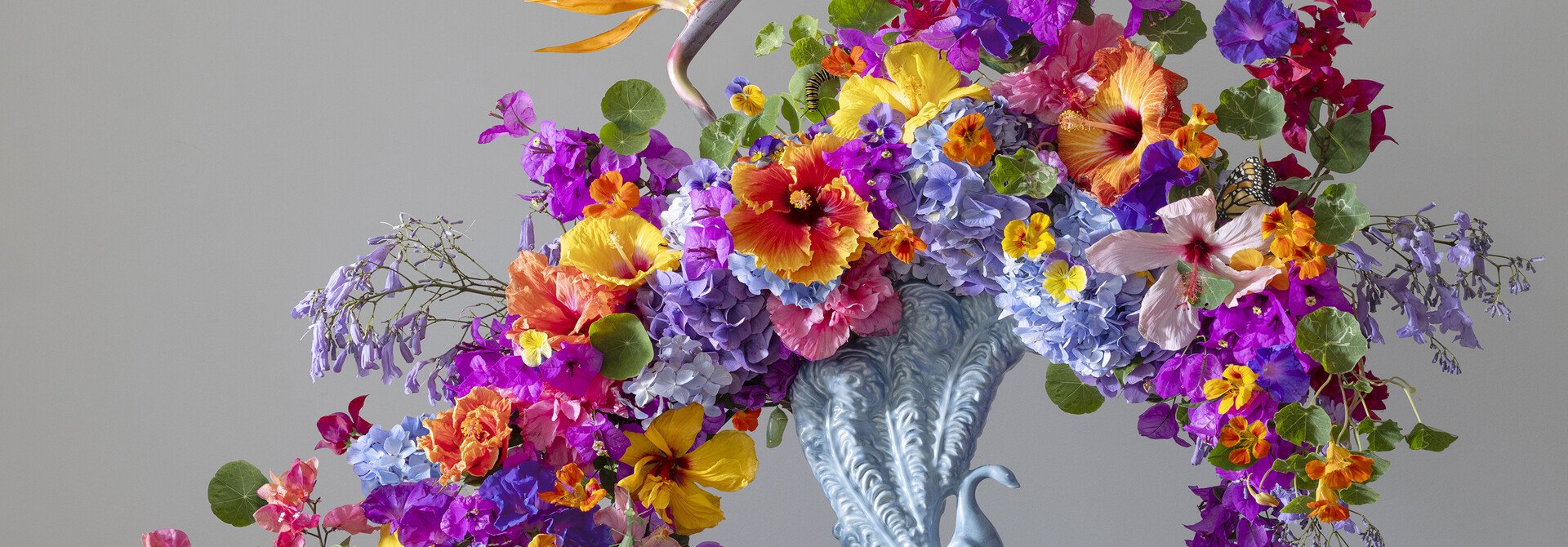 Emma Bass: 'Flourish'