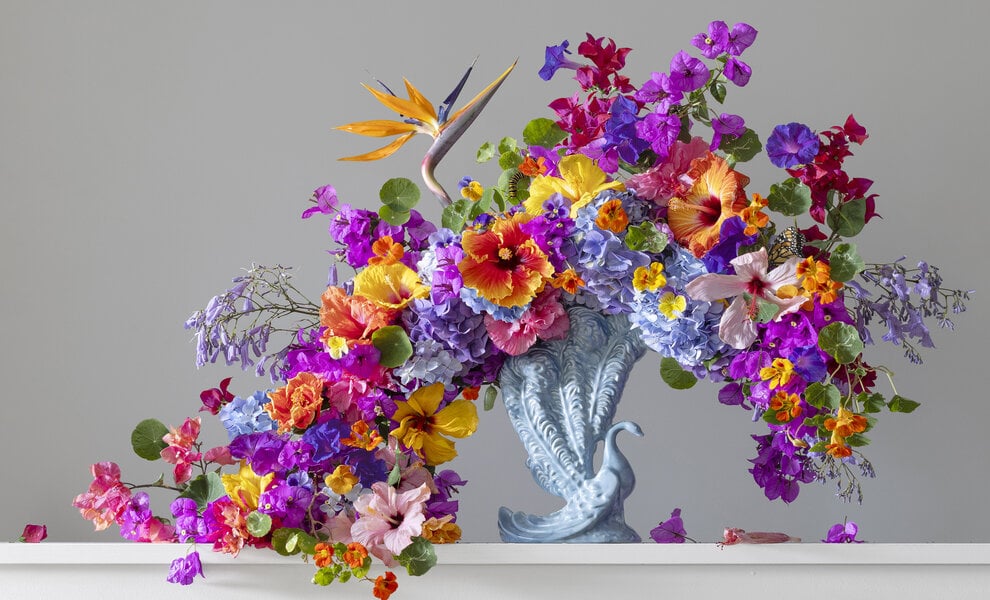 Emma Bass: 'Flourish'