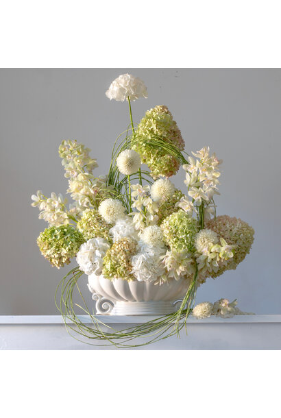 Emma Bass - Sanctuary