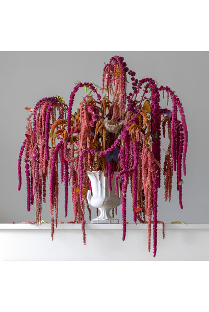 Emma Bass - Love Lies Flowing