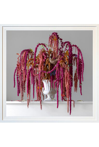 Emma Bass - Love Lies Flowing - Photographic print - 105x105cm (114x114cm framed) - White frame with non-reflective glass