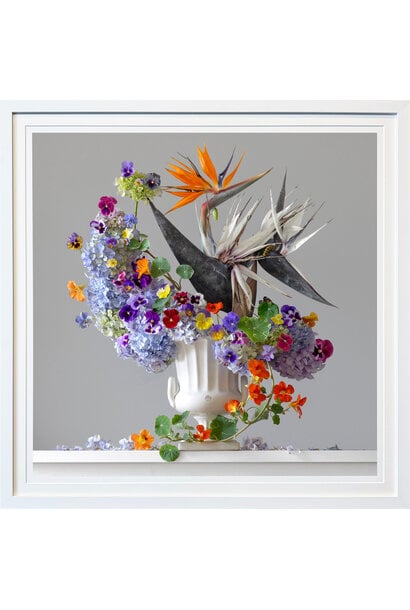 Emma Bass - Bird of Paradise - Photographic print - 80x80cm (89x89cm framed) - White frame with non-reflective glass