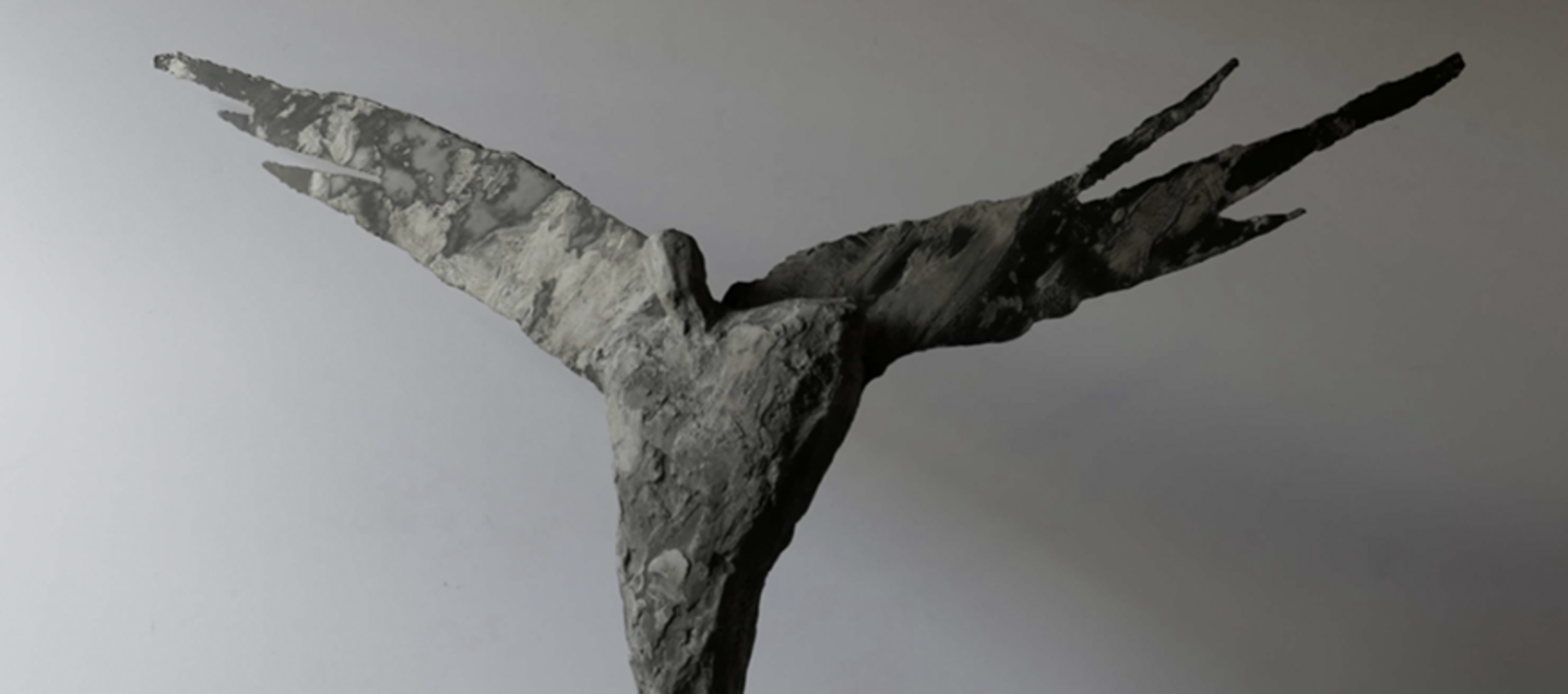 Thomas Bucich