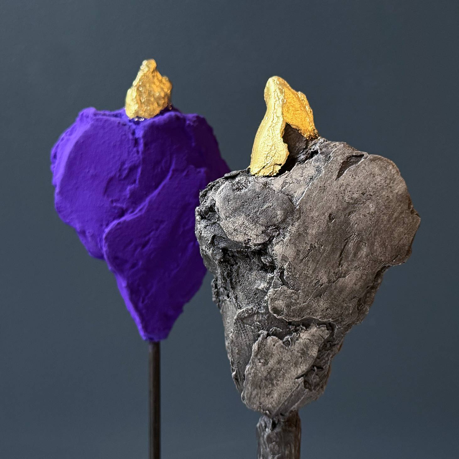 Thomas Bucich: 'Heart Relics'