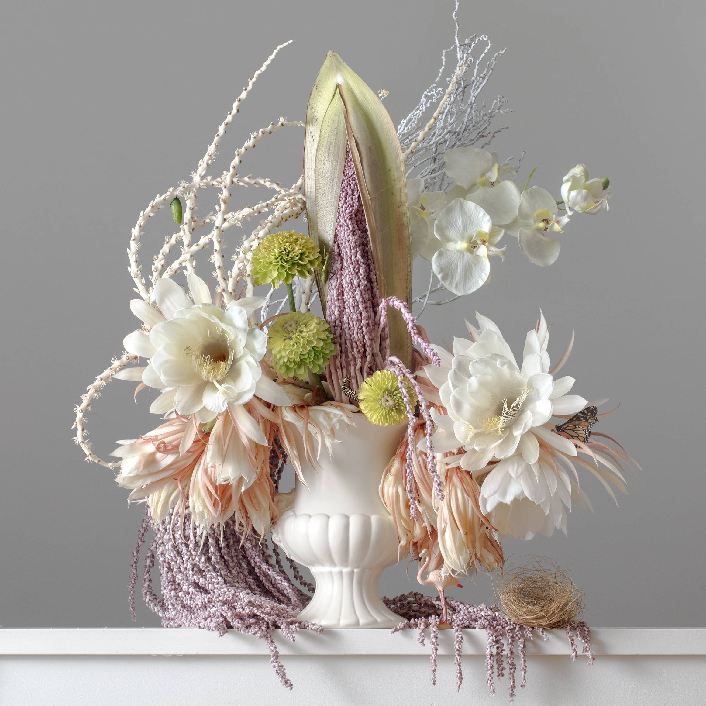 Emma Bass: 'Flourish'
