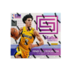 Panini Basketball 2017-18 Status - Hobby Box