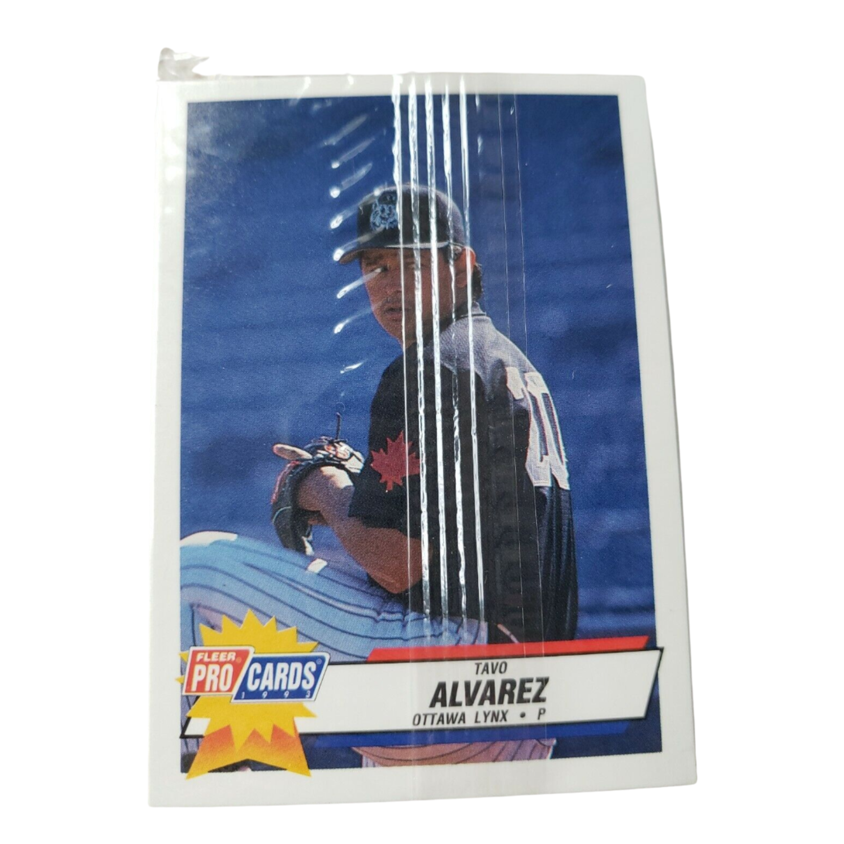 Baseball Baseball - Complete Set - 1993 Fleer Pro Cards - Ottawa Lynx Team Set