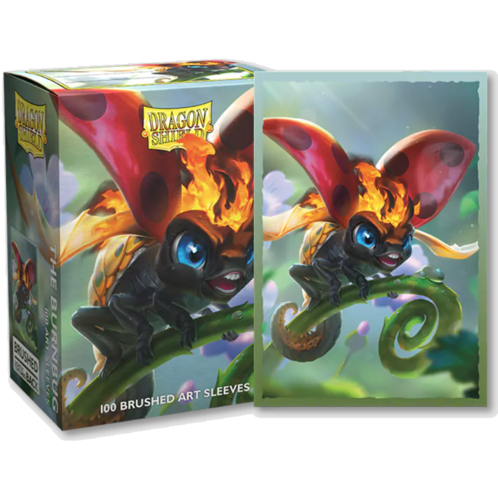 Accessoires Sleeves Dragon Shield - Brushed Art (100) - The Burnbug