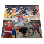 Hockey - Complete Set - 1995-96 Upper Deck Series 1 (1-270)