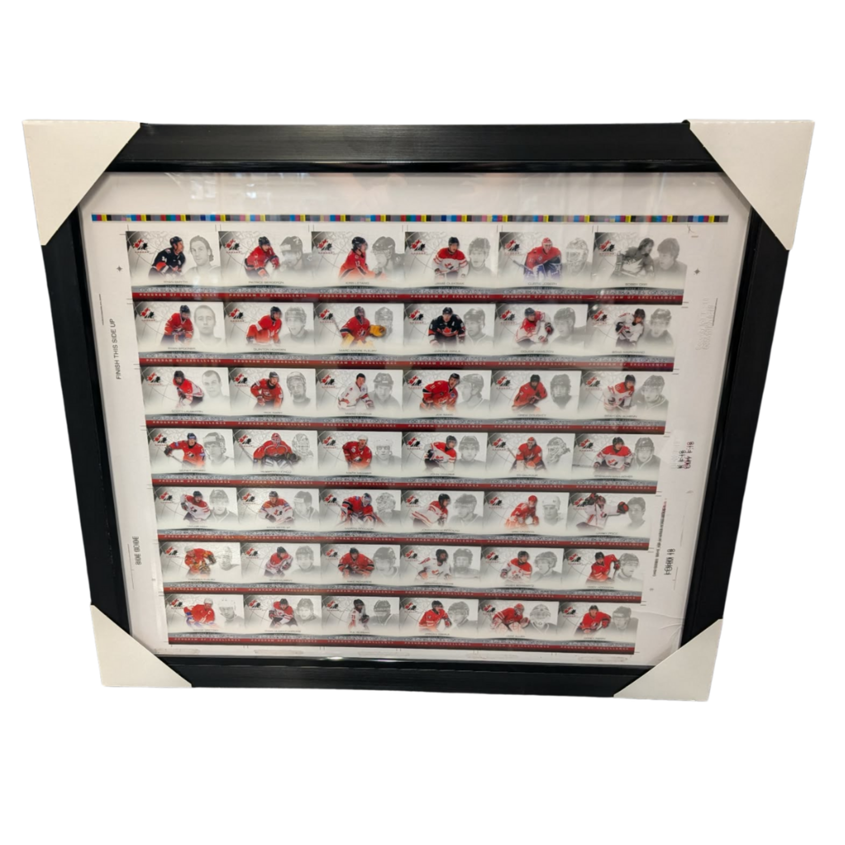 Hockey Cadre 29x25 Uncut Sheet 2014 Upper Deck Team Canada Clear Cut POE