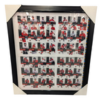 Hockey Cadre 28x25 Uncut Sheet 2014 Upper Deck Team Canada Clear Cut