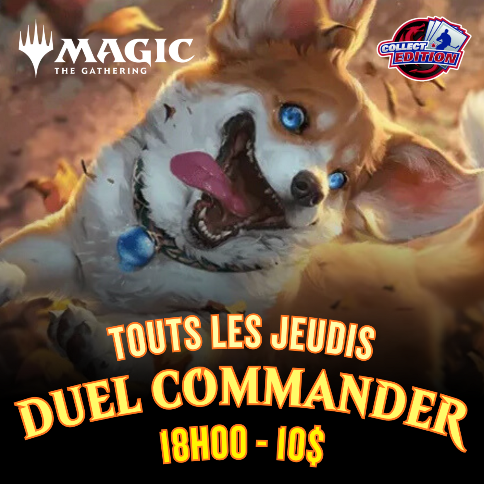 Duel Commander Hebdo - touts les jeudis - 18h