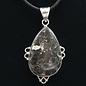 Black Fossil Coral Sterling Silver Pendant