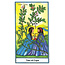Herbal Tarot Deck - by Michael Tierra and Candis Cantin