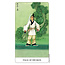 Chinese Tarot - by Jui Guoliang
