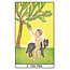 Golden Dawn Tarot Deck - by Robert Wang and Israel Regardie