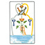 Golden Dawn Tarot Deck - by Robert Wang and Israel Regardie