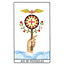 Golden Dawn Tarot Deck - by Robert Wang and Israel Regardie