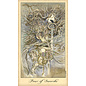 U.S. Games Systems Ghosts & Spirits Tarot - by Lisa Hunt