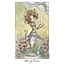 Joie de Vivre Tarot - by Paulina Cassidy
