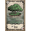 Under the Roses Lenormand - by Kendra Hurteau and Katrina Hill