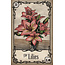 Under the Roses Lenormand - by Kendra Hurteau and Katrina Hill