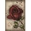 Under the Roses Lenormand - by Kendra Hurteau and Katrina Hill