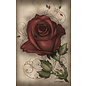 U.S. Games Systems Under the Roses Lenormand - by Kendra Hurteau and Katrina Hill