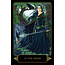 Dreams of Gaia Tarot - by Ravynne Phelan