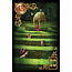 Gilded Reverie Lenormand Expanded Edition - by Ciro Marchetti