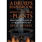 Destiny Books A Druid's Handbook to the Spiritual Power of Plants: Spagyrics in Magical and Sexual Rituals - by Jon G. Hughes