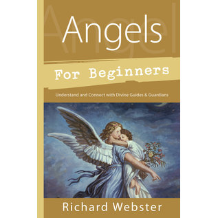 Llewellyn Publications Angels for Beginners: Understand & Connect With Divine Guides & Guardians - by Richard Webster