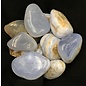 Stone Spinner Blue Lace Agate