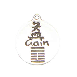 Gain - I-Ching Hexagram Pendant in Lead-Free Pewter