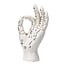 Palmistry Hand - 6 Inches Tall