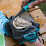 toadfish Toadfish PUT ‘EM BACK Shucking Cloth