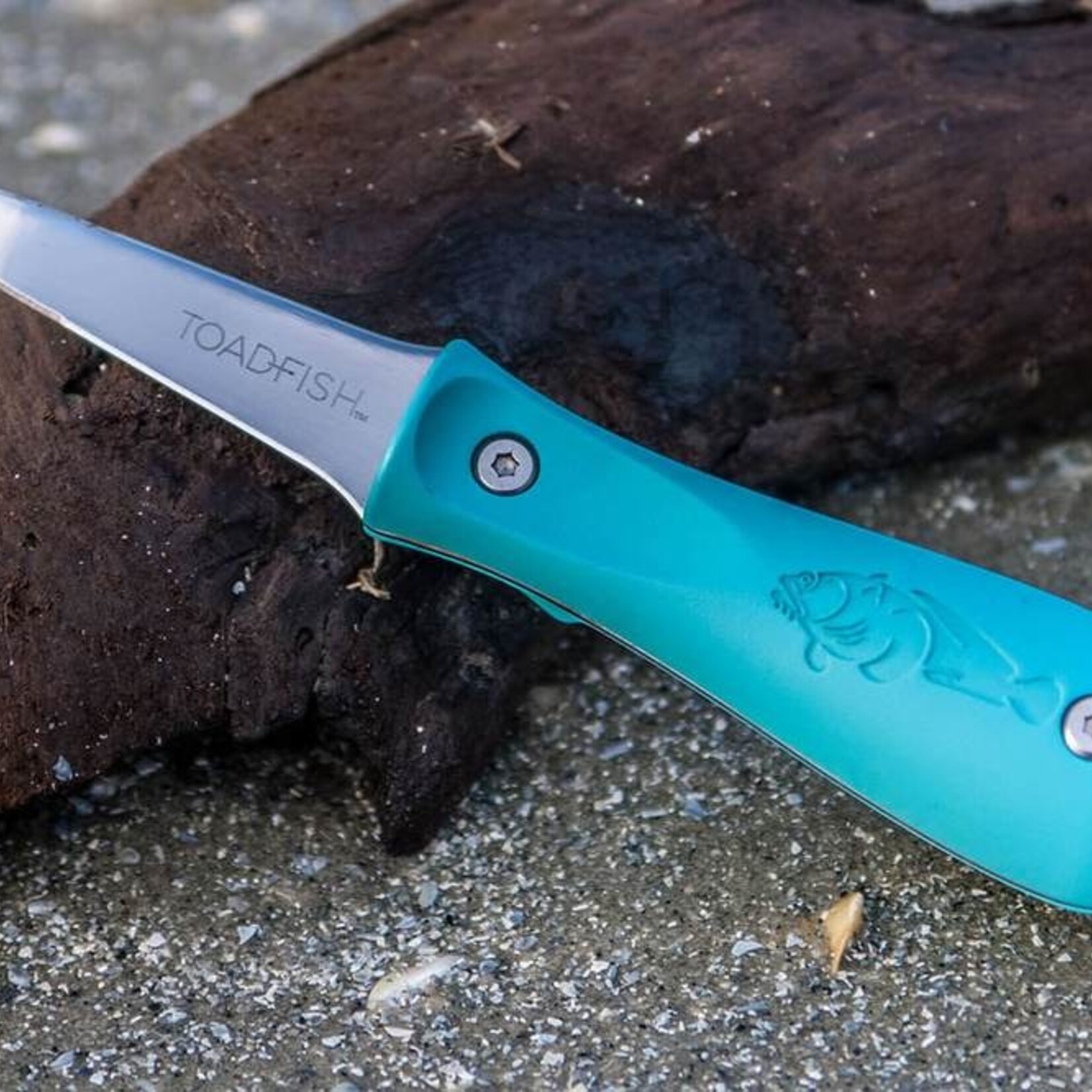 toadfish Toadfish PUT ’EM BACK Oyster Knife – Teal Handle