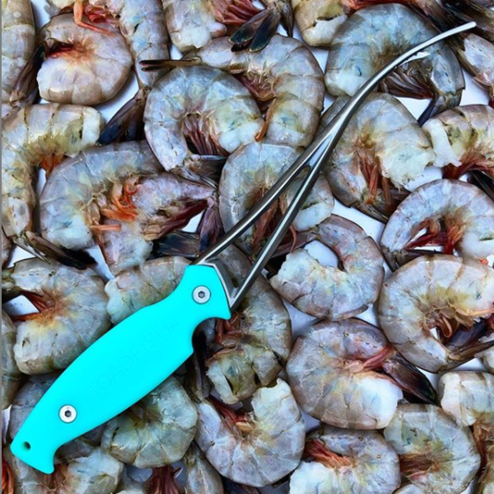 Toadfish shrimp tool - Louisiana Sportsman