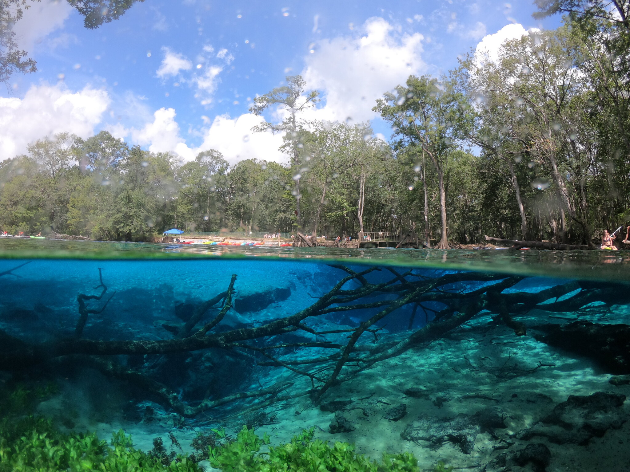 Paddling Cypress Springs: What to Know Before You Go
