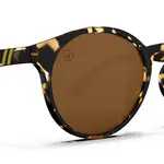 Blenders Blenders COASTAL X2 Gloss Tortoise / Amber PC Polarized
