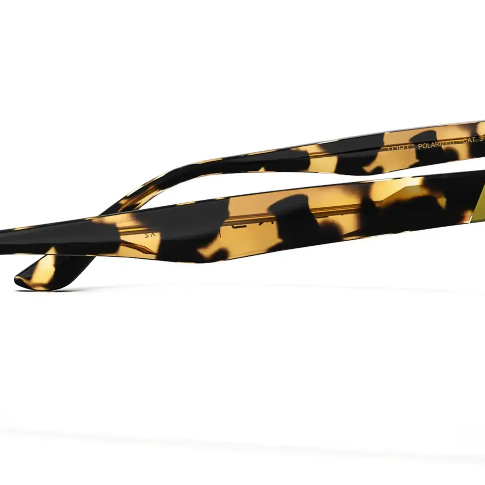 Blenders Blenders COASTAL X2 Gloss Tortoise / Amber PC Polarized